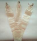 25 Cnt Sausage Casing 2 2 X 20 Inch For Summer Sausage  Clear  Clipped With Loop