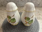 Villeroy   Boch Parkland Porcelain Salt   Pepper Shaker Set - Excellent