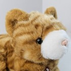 Dan Dee Orange Tabby Cat Plush Kitten Stuffed Animal Toy