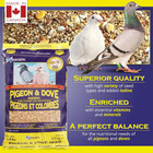Pigeon   Dove Seed - Original Formula Bird Food  6 Lb Bag     Nutritionally Comple