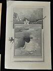 11 Pieces Scenic Victorian Scrap Cards - Beautiful Details - Ships Woods Shore