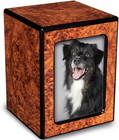 -pet Photo Urn With Picture For Dog Ashes-small Pet Urn For Ashes-cremation Box 