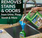 1 Container Of Cat Pet Stain And Odor Remover  1 Gallon Liquid Ready To Use