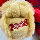 Dan Dee Collectors Choice Y2k Snowflake Teddy Bear Plush Red Santa Outfit