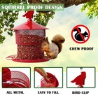 Squirrel Proof Bird Feeder For Outdoors  4 Lbs Large Capacity Metal Mesh Wild   
