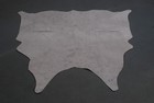 100  New Cowhide Rugs Area Cow Skin Leather  50 x 47   Cow Hide Sa-2093