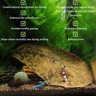 Catappa Indian Almond Leaves Aquarium Tank Decor 4-7 Inches Long Leaf  10 Pcs 