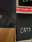 Cats Broadway Souvenir Program And Two Playbill Set