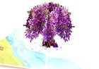 3d Pop Up Greeting Card Jacaranda Flower Floral Birthday Thank You Valentine Mom