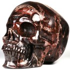 5 0  Petrified Wood Carved Crystal Skull  Realistic  Crystal Healing