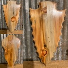 Spalted wormy Pine European Deer Skull Mount Plaque Pedestal Arrowhead W hanger