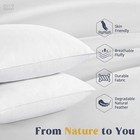 Puredown   Goose Feathers And Down White Pillows With 100  Cotton Cover Bed S   