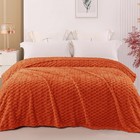 Soft Cozy Warm Plush Fleece King Size Bed Blanket Burnt Orange 90x104 Inch