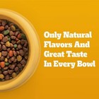 Pedigree Roasted Chicken And Vegetable Flavor Adult Dry Dog Food