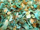 Premium Natural American Turquoise Rough Nuggets For Inlay cabs tumbling   More 