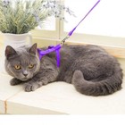 Cat Harness Leash Set Escape Proof Adjustable Nylon Halter For Kitten Pets