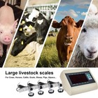 Livestock Scale Kit 10000lbs Floor Scale For Cattle Pigs Sheep With Indicator Us