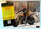 Norman Reedus Signed  the Walking Dead  Daryl Dixon  8x10  Autograph  W coa