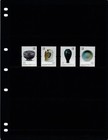  1 50 Scott Value - 2021 China Ancient Artifacts Silk Road Prc Cv Mnh Nh Umm