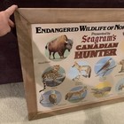 Vtg Seagram   s Canadian Hunter Picture Endangered Wildlife N  America 35    X 28     
