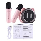 Karaoke Machine With 2 Wireless Microphones Bt Microphone And Speaker Ktv D Wecj