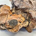 Large 10  X 9  John Perry Studio Sperm Whale   Calf Burl Wood Art Sculpture A 