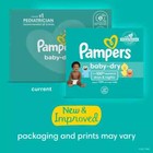 Pampers Baby Dry Diapers 150 Count Up To 100  Day And Night Leakproof Size 4