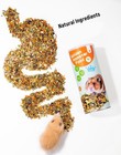 Golden Hamster Food Complete Balanced Diet 500g 17 63oz