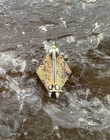 Vintage Sigma Alpha Epsilon        Enameled Fraternity Pledge Pin - Sae