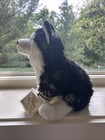 Webkinz Signature Siberian Husky Plush Stuffed Dog With Code Wks1049