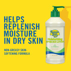 Aloe After Sun Lotion - 16 Oz  Pack Of 4