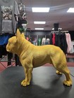 Yellow French Bulldog Collectible Figurine Dog Sculpture 3d  Printed 