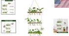 Stylish Indoor Wall Planter  5 Bulb Vases Perfect For Home And Office Decor