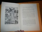 Masonic Encyclopedia   Soft Cover 1951 Ray V  Denslow 102 Pgs Original Free Ship
