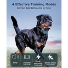 Dog Shock Collar 2 Dogs  10-120lbs  4200ft Dog Training Collar With Remote Blue