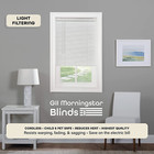 Cordless Light Filtering Mini Blind - 22 Inch Width  64 Inch Length  1  Slat Siz