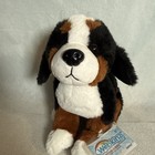Ganz 2025 Webkinz Next Bernese Mountain Dog New Wk000025 Dual 2 Adopt Codes Gen3