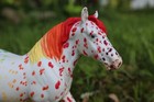 Stone Horses Pebbles Drafter In Custom Rainbow Appaloosa Pattern- Gorgeous  