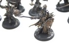 Used Warhammer Aos Hedonites Of Slaanesh  Myrmidesh Painbringers  10 