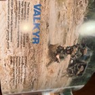 Vtg Vickers Defense Systems Valkyr Military Vehicle Brochure - Tanks
