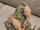 Minmi Resin Dinosaur 1 35 Model Figure Prehistoric Animal One Of  A Kind