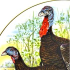  game Birds Of The South  Southern Living  wild Turkey  Plate Aj Heritage