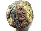 Antique Buffalo Horn - Indian Art
