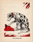 Sweet Vintage Dalmatian Print 1940 Diana Thorne Dalmatian Wall Art 6063a