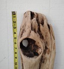 Driftwood With Large Hole Wood Working Craft   Decor Piece