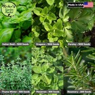 Italian Herb Seeds Kit  Basil Oregano Parsley Thyme Rosemary Marjoram  Non-gmo