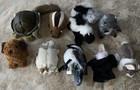 Lot 8 Folkmanis Finger Puppets Squirrel Dog Owl Bunny Rabbit Chipmunk Turtle Etc