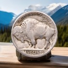 1924-p Full Date Buffalo Nickel Fast Free Shipping W  Tracking