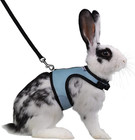 Adjustable Soft Harness With Elastic Leash For Rabbits  l  Blue 