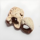 2 Beautiful Natural Round Shaped Hollow Hag Stones Beach Rock